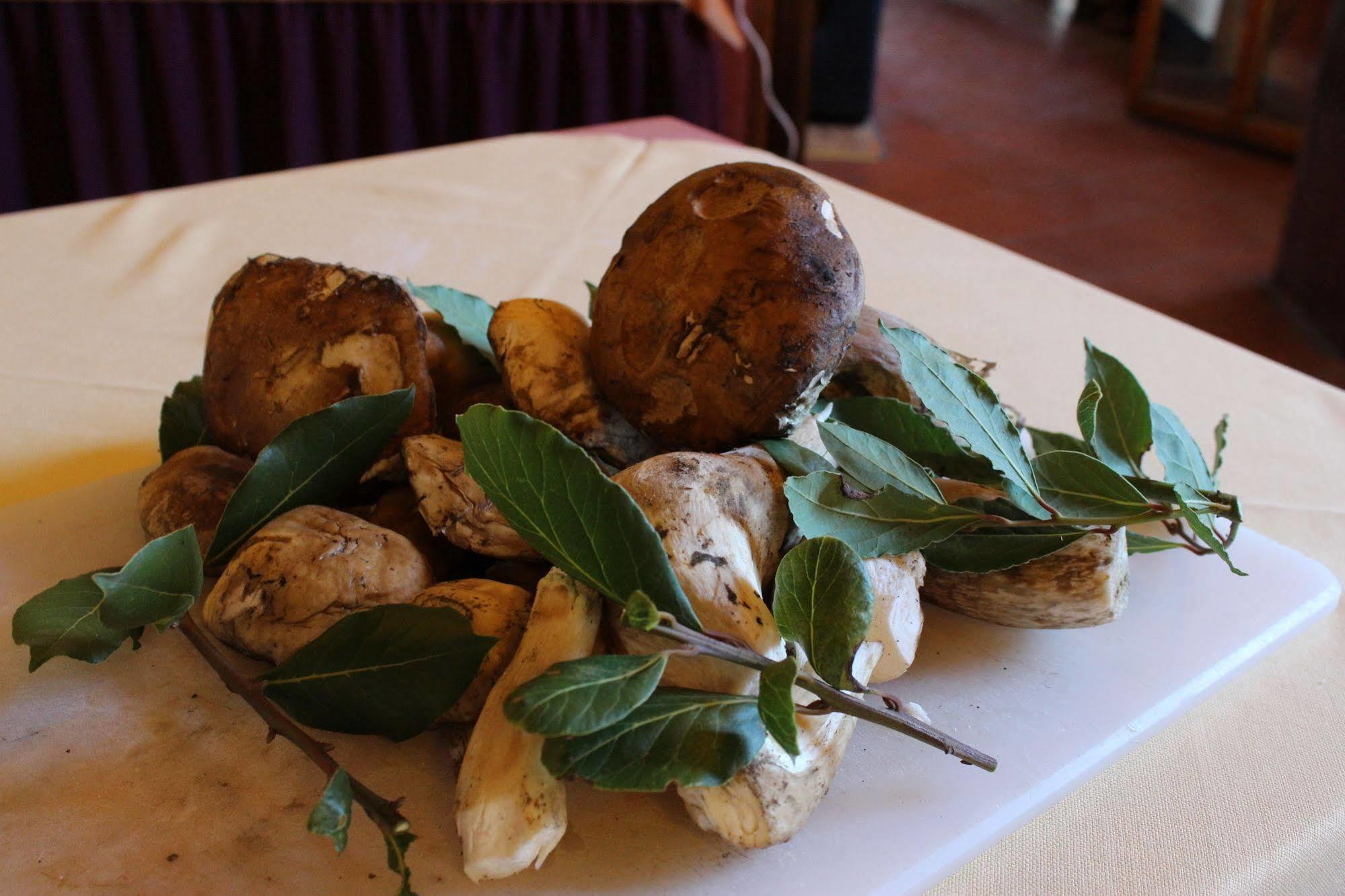 Albergo La Pieve Castelfiorentino Bagian luar foto